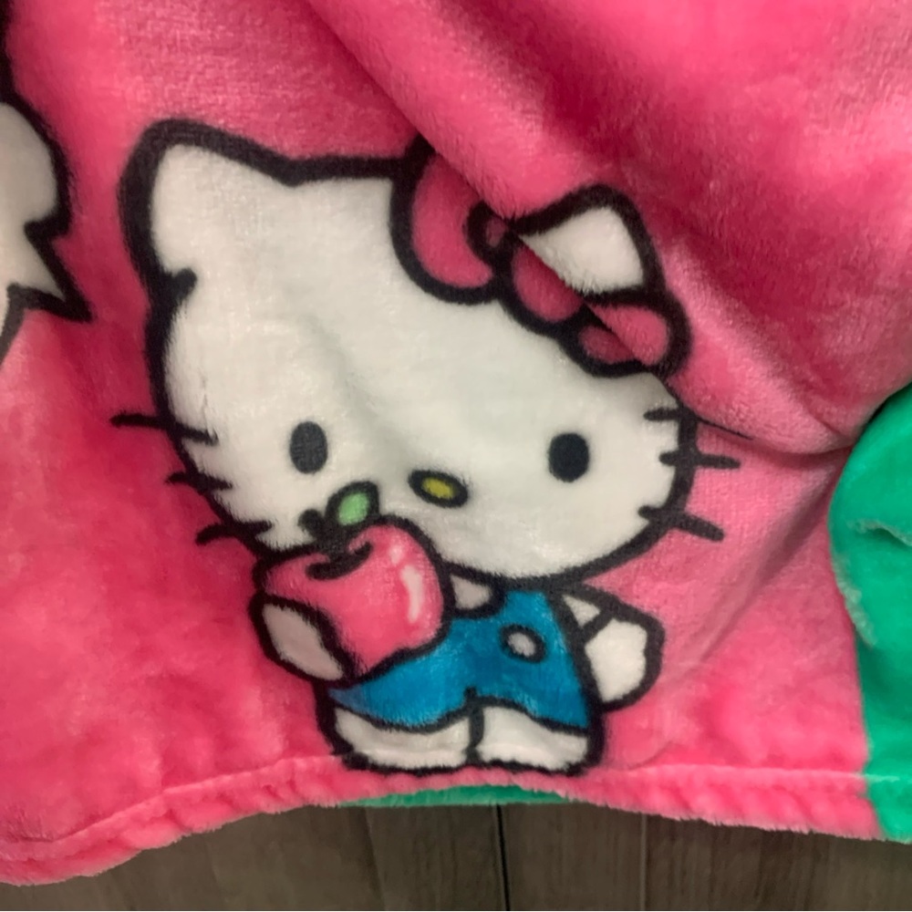 New Hello Kitty Apple Boxes Green & Pink Plush 50" x 70" Throw Blanket With Tag - Picture 6 of 7